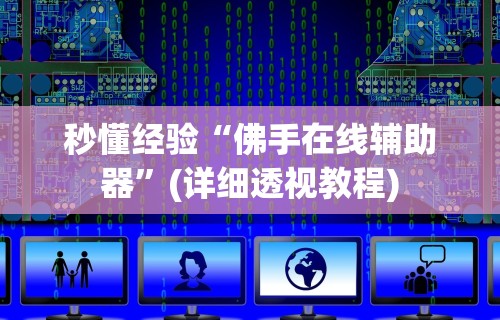 秒懂经验“佛手在线辅助器”(详细透视教程)