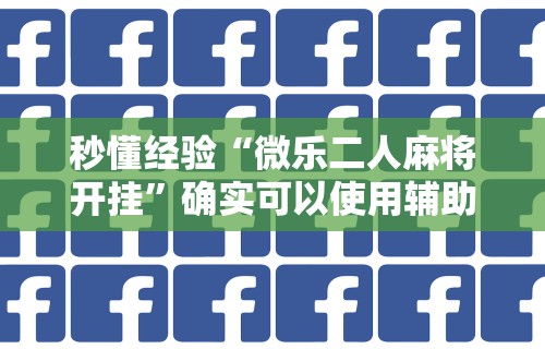 秒懂经验“微乐二人麻将开挂”确实可以使用辅助