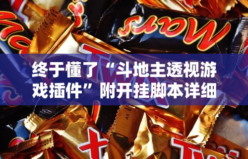 终于懂了“斗地主透视游戏插件”附开挂脚本详细步骤
