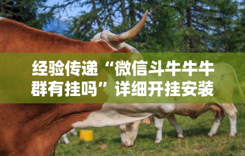 经验传递“微信斗牛牛牛群有挂吗	”详细开挂安装教程