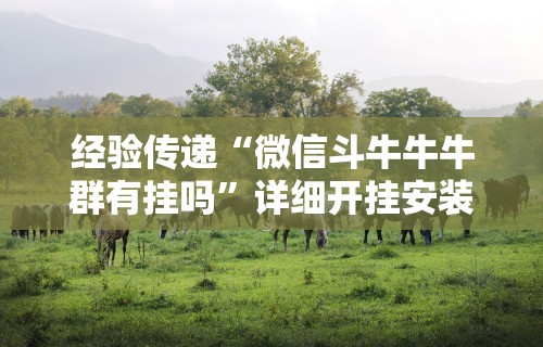 经验传递“微信斗牛牛牛群有挂吗”详细开挂安装教程