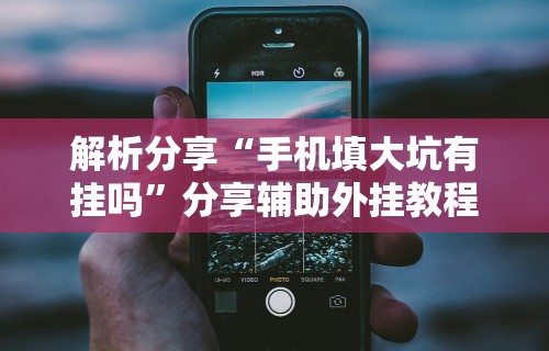 解析分享“手机填大坑有挂吗	”分享辅助外挂教程