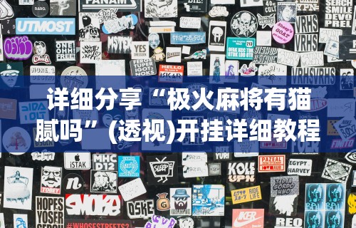 详细分享“极火麻将有猫腻吗”(透视)开挂详细教程