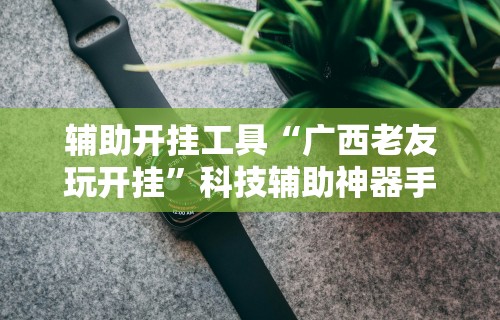 辅助开挂工具“广西老友玩开挂	”科技辅助神器手机版教程