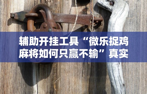 辅助开挂工具“微乐捉鸡麻将如何只赢不输”真实开挂技巧分享