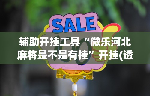 辅助开挂工具“微乐河北麻将是不是有挂	”开挂(透视)辅助教程