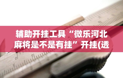 辅助开挂工具“微乐河北麻将是不是有挂”开挂(透视)辅助教程