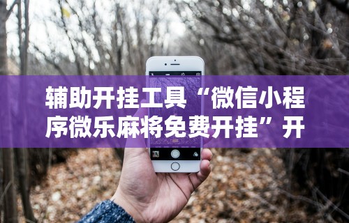 辅助开挂工具“微信小程序微乐麻将免费开挂	”开挂辅助详细步骤