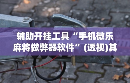 玩家必备攻略!卡丁娱乐辅助器试用版”附开挂脚本详细步骤