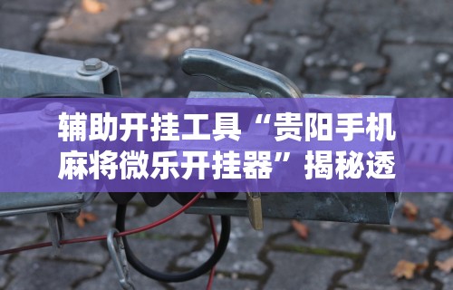 最新教程“微乐过炸怎么赢的几率大!专业师傅带你一起了解(确实有挂)