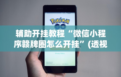 辅助开挂教程“微信小程序赣牌圈怎么开挂”(透视挂)详细用法教程