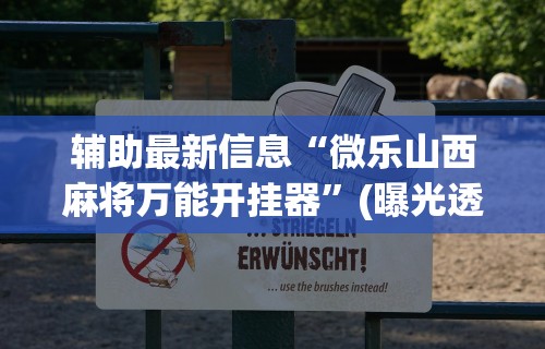 辅助最新信息“微乐山西麻将万能开挂器	”(曝光透视必备猫腻)