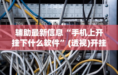 辅助最新信息“手机上开挂下什么软件	”(透视)开挂辅助脚本+详细开挂安装教程