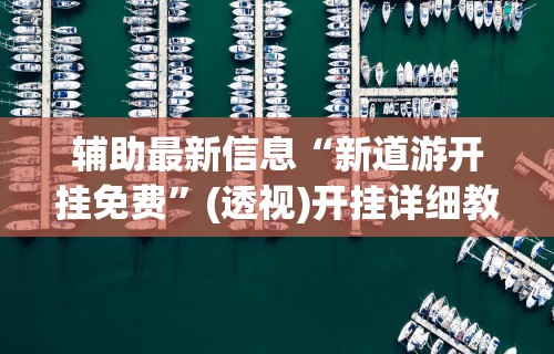 辅助最新信息“新道游开挂免费”(透视)开挂详细教程