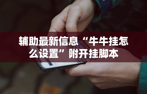 辅助最新信息“牛牛挂怎么设置	”附开挂脚本