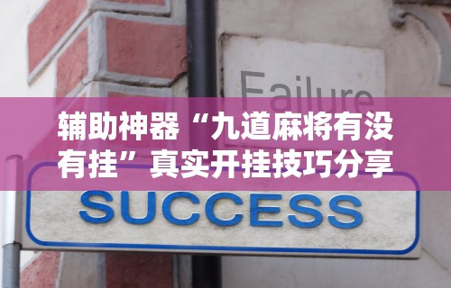 辅助神器“九道麻将有没有挂”真实开挂技巧分享