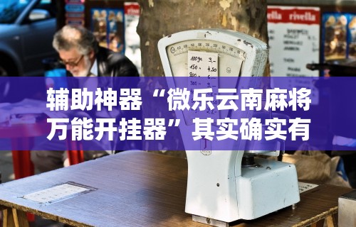 辅助神器“微乐云南麻将万能开挂器	”其实确实有挂