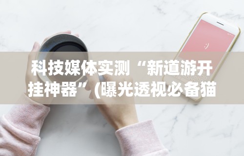 科技媒体实测“新道游开挂神器	”(曝光透视必备猫腻)