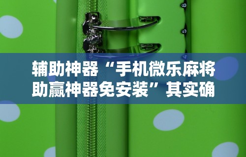 辅助神器“手机微乐麻将助赢神器免安装”其实确实有挂