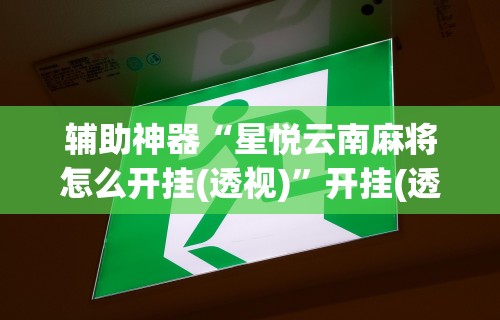 辅助神器“星悦云南麻将怎么开挂(透视)”开挂(透视)辅助教程