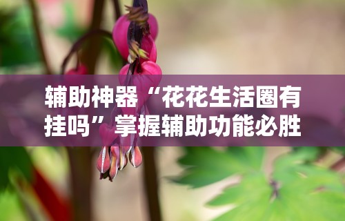 3分钟学会“海讯河源麻将和平神器”可以开挂作弊