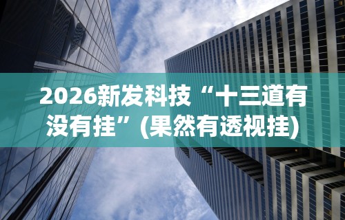 2026新发科技“十三道有没有挂”(果然有透视挂)