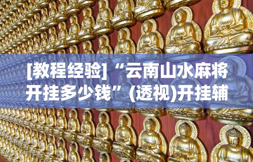 [教程经验]“云南山水麻将开挂多少钱”(透视)开挂辅助脚本+详细开挂安装教程