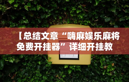 【总结文章“嗨麻娱乐麻将免费开挂器”详细开挂教程