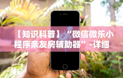【知识科普】“微信微乐小程序亲友房辅助器”-详细教程