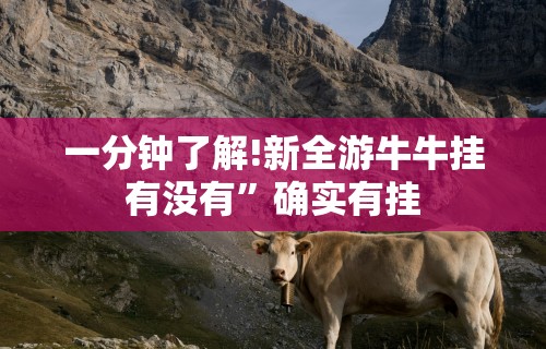 4分钟了解“微乐河北麻将助赢神器购买”能不能开挂!