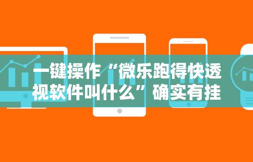 秒懂经验“喜乐填大坑挂”(果然有透视挂)