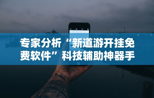 专家分析“新道游开挂免费软件”科技辅助神器手机