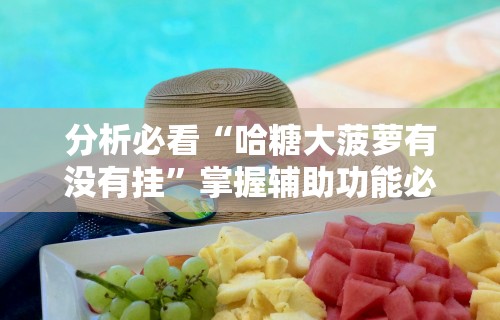 分析必看“哈糖大菠萝有没有挂”掌握辅助功能必胜规则