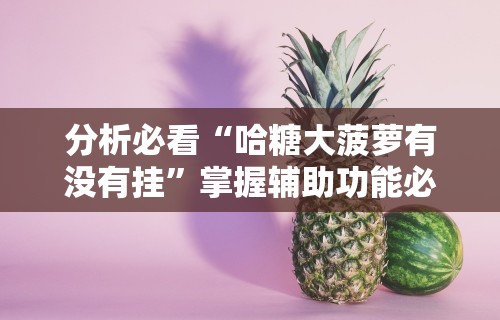 分析必看“哈糖大菠萝有没有挂”掌握辅助功能必胜规则