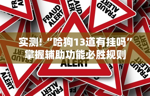 实测!“哈狗13道有挂吗”掌握辅助功能必胜规则