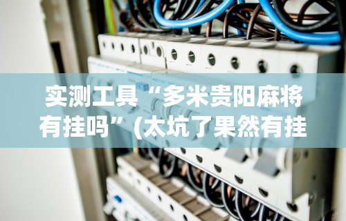 实测工具“多米贵阳麻将有挂吗”(太坑了果然有挂)