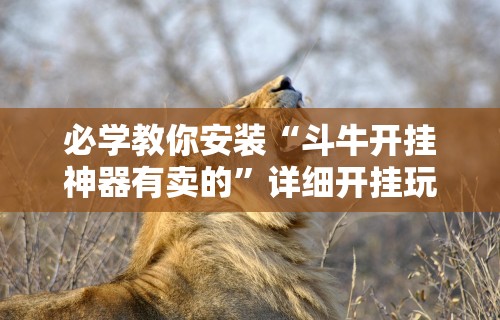 必学教你安装“斗牛开挂神器有卖的”详细开挂玩法