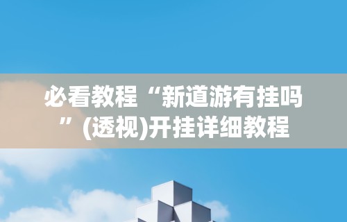 必看教程“新道游有挂吗”(透视)开挂详细教程