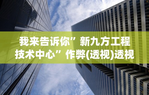 我来告诉你”新九方工程技术中心	”作弊(透视)透视辅助