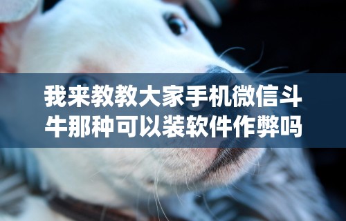 我来教教大家手机微信斗牛那种可以装软件作弊吗？(透视)”开挂(透视)辅助教程