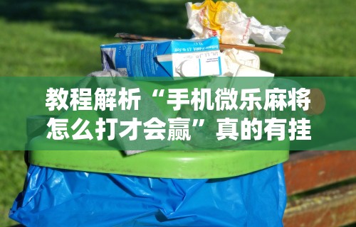 教程解析“手机微乐麻将怎么打才会赢”真的有挂