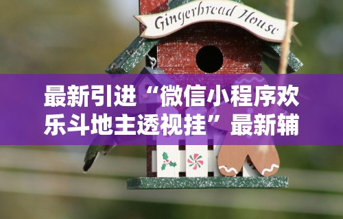 【玩家必看】“微乐麻将万能挂”作弊(透视)透视辅助