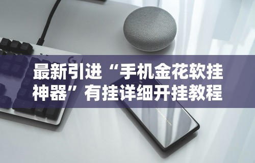 最新引进“手机金花软挂神器”有挂详细开挂教程