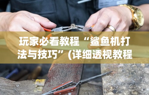 实测脚本“美猴王牛牛挂先试用再付款”详细分享装挂步骤