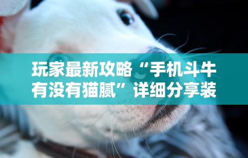 两分钟了解微乐贵阳麻将有挂么	”(其实是有挂)