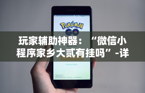 玩家辅助神器：“微信小程序家乡大贰有挂吗”-详细教程