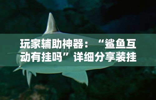 玩家辅助神器：“鲨鱼互动有挂吗”详细分享装挂步骤教程