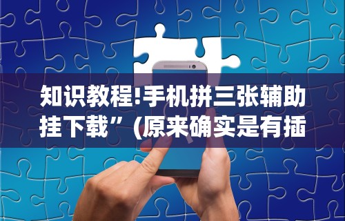 知识教程!手机拼三张辅助挂下载”(原来确实是有插件)