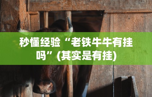 秒懂经验“老铁牛牛有挂吗”(其实是有挂)