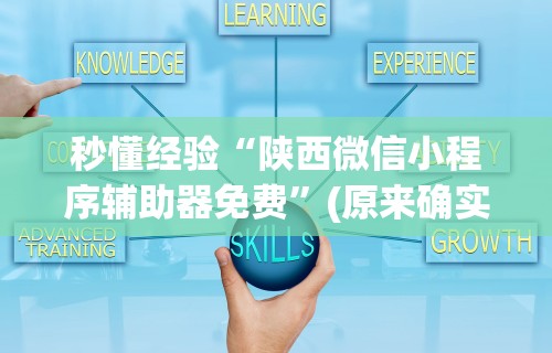 秒懂经验“陕西微信小程序辅助器免费	”(原来确实是有挂)